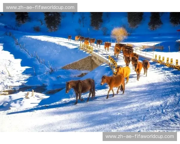 莫陆军VS喀山：当冰雪王国遇上草原雄鹰，一场宿命的对决